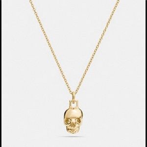 Mini Demi-Fine Skull Necklace

GOLD